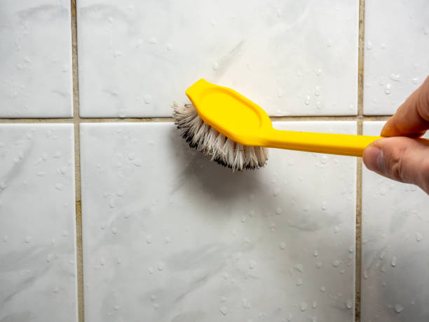 Best Mold Removal Company Near Me  in North Terre Haute, IN