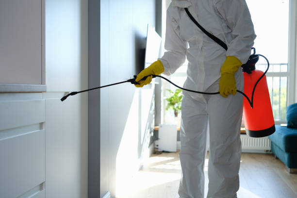 Best Mold Testing  in North Terre Haute, IN