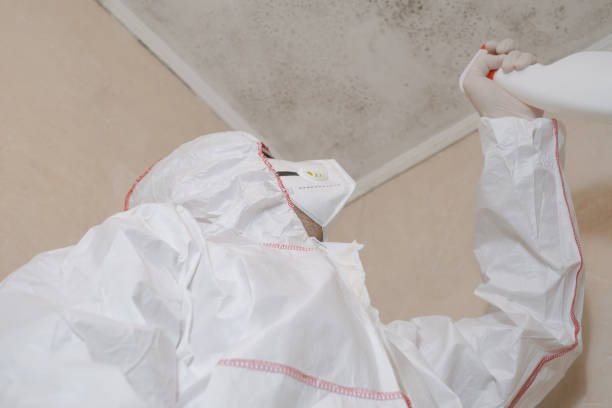 Best Water Damage Restoration  in North Terre Haute, IN