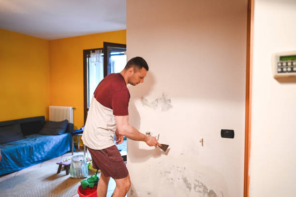 Best Mold Damage Repair  in North Terre Haute, IN