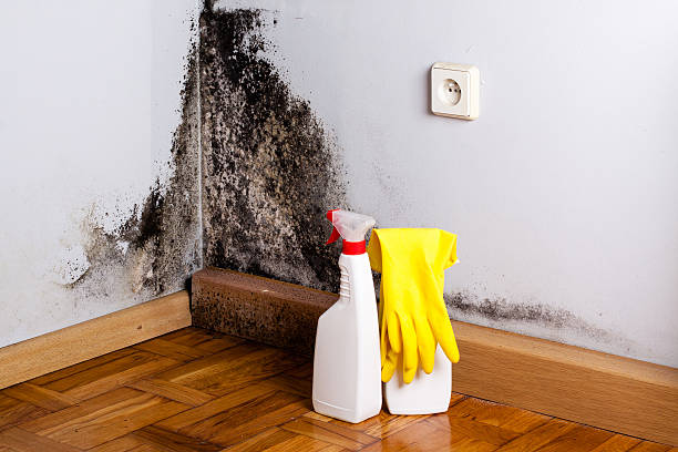 Water Damage Restoration in North Terre Haute, IN